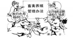 如何更好的管理食品安全？